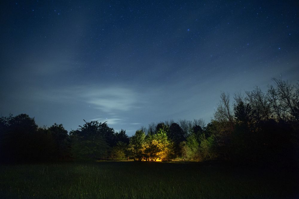 Peaceful camping in nature
